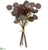 Eucalyptus, Blossom Bundle - Burgundy - Pack of 12