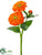 Zinnia Spray - Orange - Pack of 24