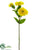 Zinnia Spray - Yellow - Pack of 12