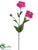 Zinnia Spray - Cerise - Pack of 12