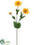 Zinnia Spray - Gold Yellow - Pack of 12