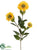 Zinnia Spray - Yellow - Pack of 12