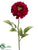 Zinnia Spray - Beauty - Pack of 12