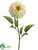 Zinnia Spray - Cream - Pack of 12