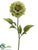 Zinnia Spray - Green - Pack of 12