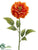 Zinnia Spray - Orange - Pack of 12