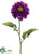 Zinnia Spray - Purple - Pack of 12