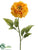 Zinnia Spray - Yellow - Pack of 12