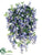 Wisteria Bush - Blue - Pack of 4