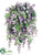 Wisteria Bush - Purple - Pack of 4