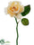 Rose Stem - Beige - Pack of 36