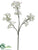 Baby's Breath Spray - White - Pack of 12