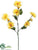 Daisy Spray - Yellow - Pack of 12