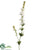 Delphinium Spray - White - Pack of 12