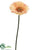 Gerbera Daisy Spray - Pink Light - Pack of 12