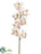 Cymbidium Orchid Spray - Peach Cream - Pack of 24