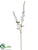 Prunus Spray - White - Pack of 12