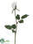 Large Rose Bud Spray - White - Pack of 24