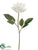 Rose Spray - White - Pack of 12