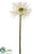 Gerbera Daisy Spray - White - Pack of 12