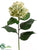 Hydrangea Spray - White Green - Pack of 12