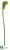 Calla Lily Spray - Green - Pack of 12