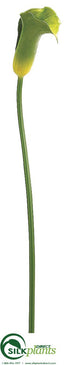 Silk Plants Direct Calla Lily Spray - Green - Pack of 12