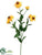 Shasta Daisy Spray - Yellow Gold - Pack of 24