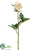 Panama Rose Bud Spray - Cream Peach - Pack of 12