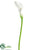 Large Calla Lily Spray - White - Pack of 12