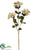 Achillea Spray - Gold Old - Pack of 12