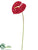 Anthurium Spray - Red - Pack of 12