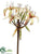 Amaryllis Spray - Green - Pack of 4