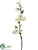 Apple Blossom Spray - Cream - Pack of 12