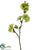 Apple Blossom Spray - Green - Pack of 12