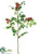 Rose Hip Spray - Red - Pack of 12