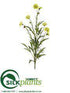 Silk Plants Direct Coreopsis Spray - Green - Pack of 12