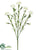 Carnation Spray - Cream White - Pack of 24