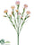 Carnation Spray - Pink - Pack of 24