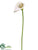 Calla Lily Spray - White - Pack of 12