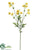 Cosmos Spray - Yellow - Pack of 12