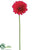 Gerbera Daisy Spray - Beauty Red - Pack of 12