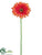 Gerbera Daisy Spray - Orange - Pack of 12