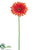 Gerbera Daisy Spray - Orange - Pack of 12