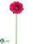 Gerbera Daisy Spray - Wine - Pack of 12