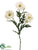 Wild Daisy Spray - White - Pack of 12