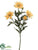 Wild Daisy Spray - Yellow - Pack of 12