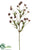 Wild Daisy Spray - Eggplant - Pack of 12