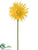 Spider Gerbera Daisy Spray - Yellow Green - Pack of 36