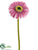 Gerbera Daisy Spray - Lavender Light - Pack of 24